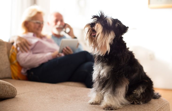 A family with a dog sat on a sofa